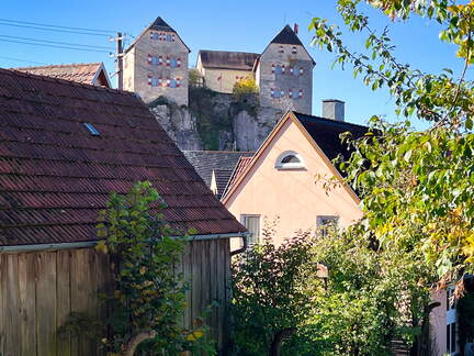 22-10-09 11-18-16 2558